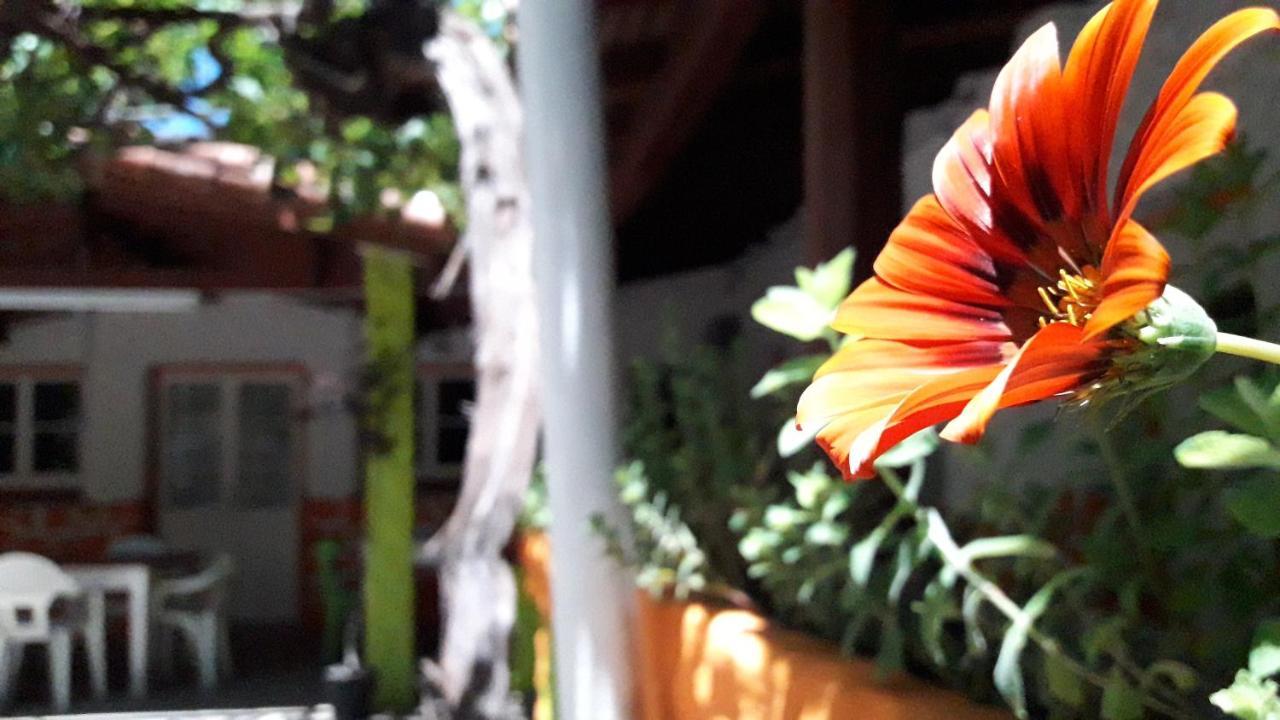 Hospedaje Don Alberto Hotell Potrerillos Eksteriør bilde